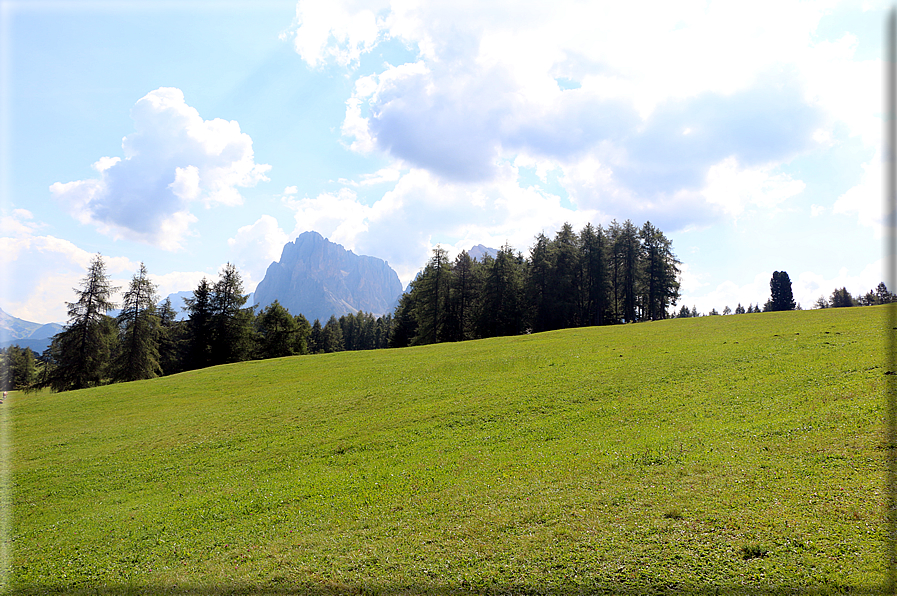 foto Alpe di Siusi